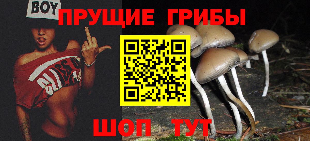 Псилоцибиновые грибы ЛСД Ялуторовск