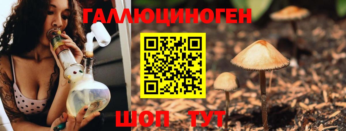 Галлюциногенные грибы мицелий  Вход с VPN  Галлюциногенные грибы Psilocybine cubensis  Ялуторовск 